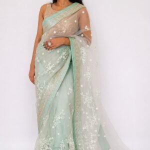 pastel mint green organza saree